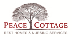 PC_logo